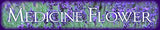 Medicine Flower Pure Flavor Extract Hazelnut .5 Ounce