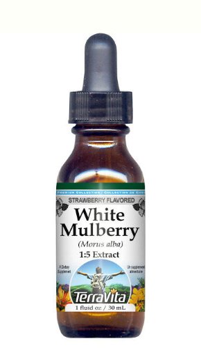 Terravita White Mulberry (Morus alba) Glycerite Liquid Extract (1:5) - Strawberry Flavored (1 oz, ZIN: 512734)