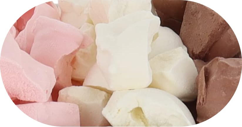 Arctic Farms Freeze Dried Ice Cream that Does Not Melt (Neapolitan, 1 Ounce)