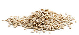 Good Sense Roasted & Salted Sunflower Seeds (shelled), 8 Ounce (8OZ)