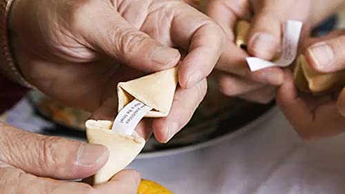 Shop and Save Individually Fresh crispy Wrapped Fortune Cookies Perfect for Snacks,Lunch,Picnic,Birthdays,Graduation,Parties (Citrus,60)