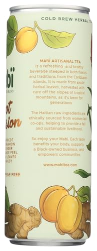 Mabi Artisanal Tea Apricot Passion Cold Brewed Spiced Herbal Tea Blend 12pk