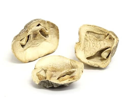 Essential Spice Dried Paddy Straw Mushrooms, 1 lb - Whole, Mild Savory Flavor & Tender Texture - Ideal for Asian Stir-Fries, Soups, Curries & Noodle
