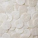 Altar Bread 1 3/8" White Cross Design 100 Communion Hosts