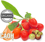 Goji Fusion - Organic Goji Juice Blend from CAOH (1-32 oz Bottle)