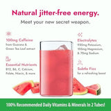 Zipfizz Daily Energy Drink Powder, Watermelon, 20 Pack | 3-in-1 Sustained Energy, Rapid Hydration, and Essential Vitamins | Sugar-Free | Electrolyte