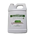 Kirby 1 Gallon Carpet Shampoo, 252802 by Kirby