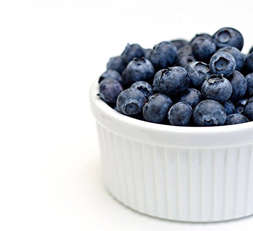 FruitCeuticals Organic Blueberry Powder Made with 100% Whole Fruit Wild Blueberries - 8oz Pouch (90 Day Supply)