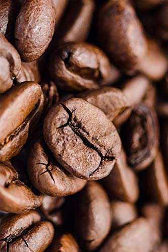 5 Lbs 100% Jamaica Jamaican Blue Mountain Coffee - Full City (Medium) Roast)