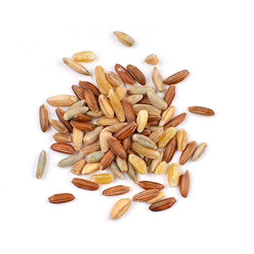 Ancient Whole Grain Blend, 10 lb - Hearty 6 Grain Mix with Farro, Freekeh, Red Rice & Rye - Bulk Heritage Grain Blend for Soups & Salads by Woodland Gourmet