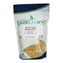 PureLiving Sprouted Organic Millet Grain Non-GMO - 15 Ounce Bag - Considered One of the Most Easily-Digestible Grains
