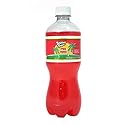 Tahitian Treat, Soda bottles 20 Oz (24 Pack)