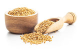 Birch & Meadow 3 lb of Yellow Mustard Seeds, Mild Mustard Flavor, Dips & Dressings