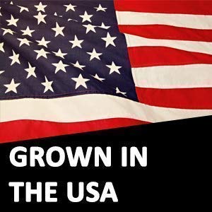 Intl. Popcorn White Hulless (Less Hulls) Premium Popcorn Kernels • Pesticide-Free, Chemical-Free, Glyphosate-Free • USA Grown • All Natural, Vegan