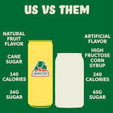 Jarritos - Mexican Soda Soft Drinks, Pineapple (12 oz, 355ml) 24 Cans (3 Boxes of 8) - Real Cane Sugar - 0g Fat - Made in Mexico - Natural Flavor Soda