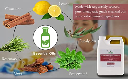 Naeterra Aromatherapy Cleaning Starter Kit - 32oz Plant-Based Concentrate, 16oz Amber Bottle, Funnel & Cloth - Legendary Apothecary Botanical Blend