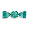 Mangini, Bye Polar Mint Mini Hard Candy (2.200 Lbs)