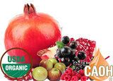Acai Max - A Healthy Organic Acai Juice Blend From CAOH (1-32 oz Bottle)