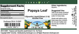 Papaya Leaf Glycerite Liquid Extract (1:5) - No Flavor (1 oz, ZIN: 512807)