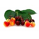 Bellindora Vinegar 900101 Balsamic Cherry - Pack of 3