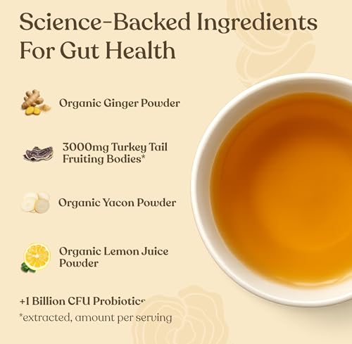 Four Sigmatic Gut Health Organic Herbal Tea | Organic Lemon Ginger Tea with Probiotics & Turkey Tail Mushroom | Instant Digestive Tea | Vegan