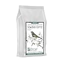 GoCoffeeGo Thanksgiving Coffee ""SongBird Organic Decaf"" Medium Roasted Organic Shade Grown Whole Bean Coffee - 12 Ounce Bag