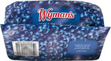 Wymans of Maine Wild Blueberries, 48 OZ