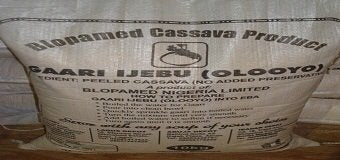 Ijebu Garri Gari 20 Lbs
