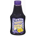 Welch's Squeeze Bottle Concord Grape Jam (418263) 22 oz