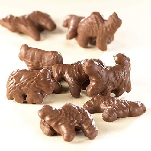 Asher's Chocolates, Gourmet Chocolate Covered Animal Crackers, Small Batches of Kosher Chocolate, Family Owned Since 1892 (6oz, Milk Chocolate)