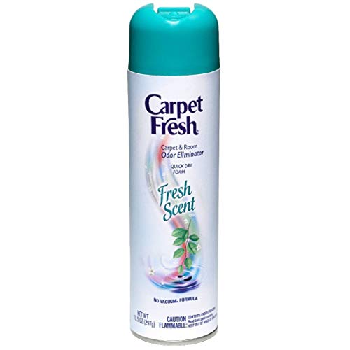 Carpet Fresh® Quick-Dry Foam, Fresh Scent, 10 OZ