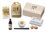 Re-Ment Miniature Hometown Tax Return Gifts Japan Foods Full Set 8 Packs Rement