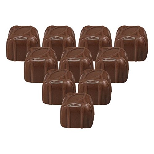 Zippy Bite (Raspberry)