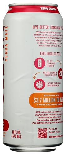 Clean Cause Organic Strawberry Lemonade Sparkling Yerba Mate, 16 Fl Oz