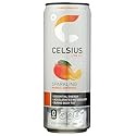 Celsius 12oz SS - Mango Lemonade