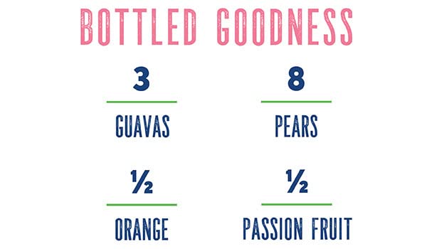 Dr. Smoothie 100% Crushed Guava & Passion Fruit (former Forbidden Fruit) 2 Pack