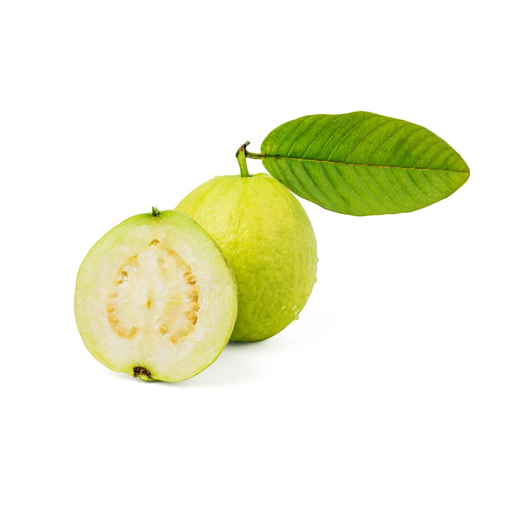 Guava Extract - Tropical Flavoring for Baking and Cooking and Brewing - Non-GMO - Gluten Free - Kosher - Vegan - 16 ounces