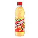 Maguary Cashew Juice Concentrate - 16.9 FL.Oz | Suco Concentrado Maguary Sabor Caju - 500ml - (PACK OF 12)