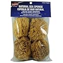 Dynamic Brand Natural Sea Sponge, 4 Pack, 00034