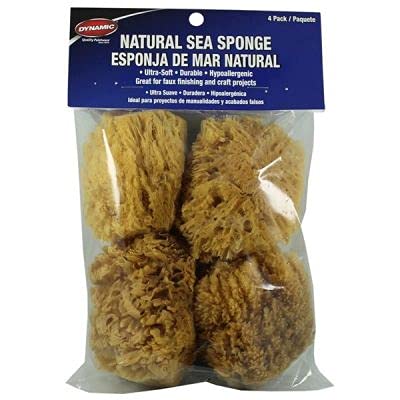 Dynamic Brand Natural Sea Sponge, 4 Pack, 00034