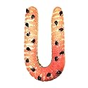 The Gummy Bear Guy (TM) | World's Largest Gummy (TM) Sour Watermelon Worm | Approximately 3lbs.