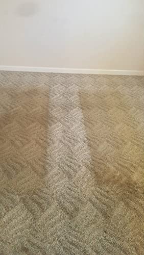 CarpetGeneral Carpet Fiber Rinse 5600 - Water-Based Cleaning Solution - Prevents Browning, Yellowing & Bleeding - Residential & Commercial - 1Gal