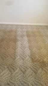 CarpetGeneral Carpet Fiber Rinse 5600 - Water-Based Cleaning Solution - Prevents Browning, Yellowing & Bleeding - Residential & Commercial - 1Gal