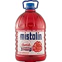 Mistolin All Purpose Cleaner Floral, 128 Fl Oz