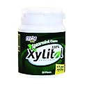 Spearmint Gum Jar 50 PC