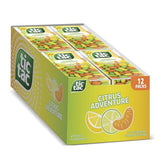 Tic Tac Citrus Adventure, On-the-Go Pocket-Sized Mints, 100 pieces, Bulk 12 Pack, 1.7 oz Each