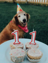 The Lazy Dog Cookie Co. Bake-at-Home Birthday Cake Mix Vanilla with Confetti Frosting Dog Treats, 12 oz.