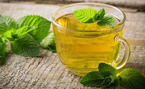 bodi : Spearmint Leaf Powder | 4oz to 5lb | 100% Pure Natural Hand Crafted (1 lb)
