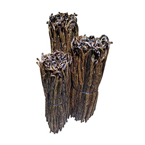 Stavoren Trading Co. - Grade B Madagascar Red Vanilla Beans - 1 Pound - 5-8 inches long - For Cooking, Baking, Homemade Extract and Paste - Freshly