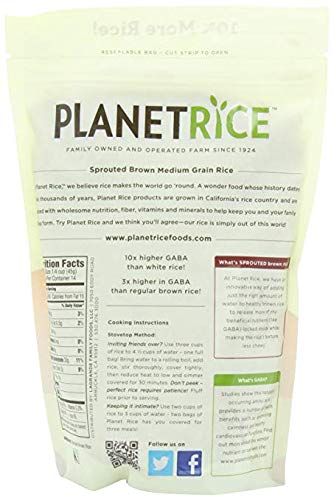 Planet Rice Bulk Sprouted Brown Rice - Great for Bulk Rice Cooking - Gaba Rice Gluten-Free, Vegan, Paleo, with 64% More Fiber - Soft and Chewy Texture - 22 Ounce (Pack of 6)